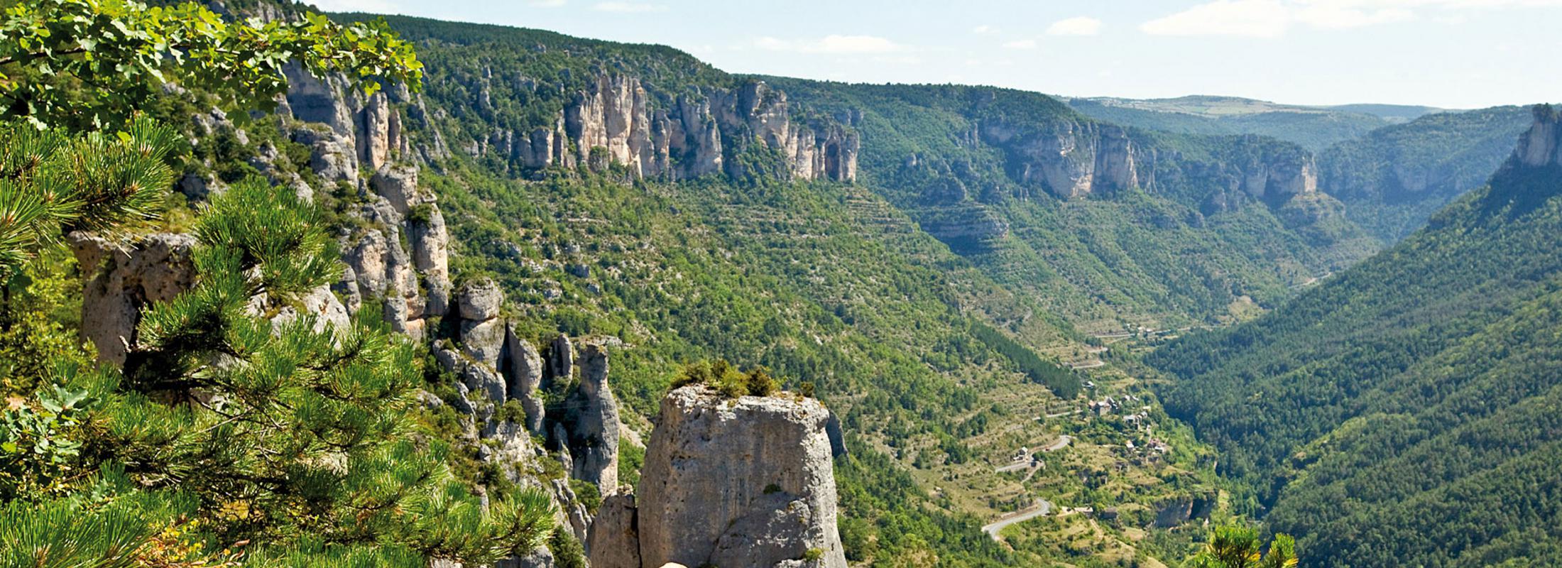 Parc National des Cévennes 1 - Apum