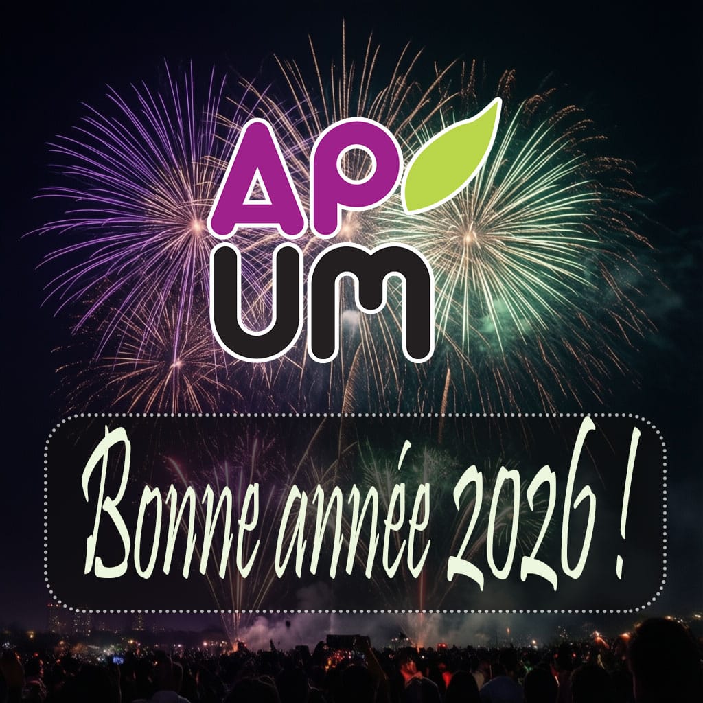 miniature-bonne-annee-2026